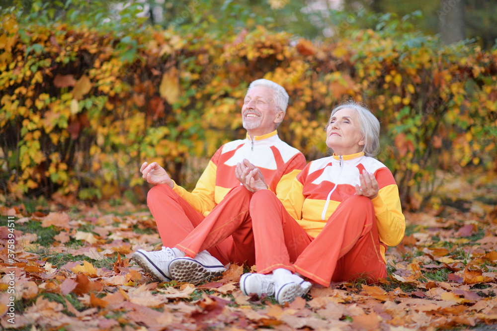 Wall mural Happy senior couple meditating in autumn park