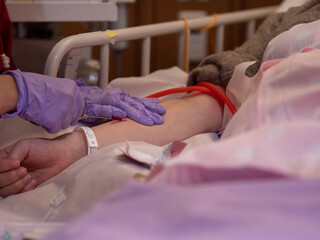 Obraz na płótnie Canvas A nurse inserting a canula into a patient's arm
