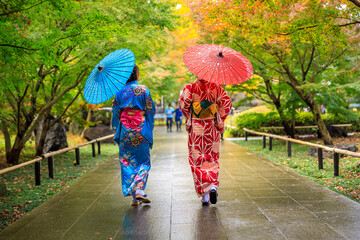 two young tourists wearing kimono and umbrella took a walk in the park in autumn season