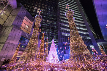 TOKYO, JAPAN - NOVEMBER 15 2019: Illuminations light up at at Caretta shopping mall in Shiodome...