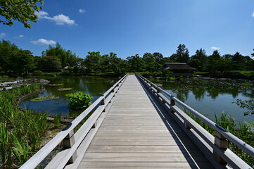 夏の池の上に架かる真っ直ぐな長い木製の橋