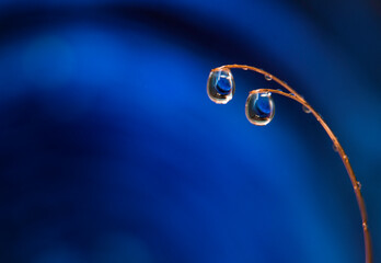 water drops on a blue background