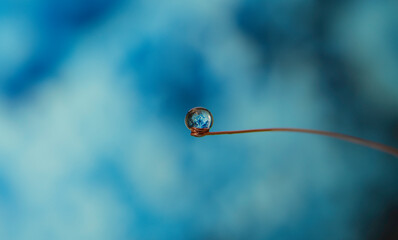 water drop