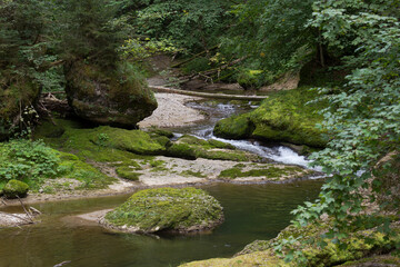 Obraz premium Mountain stream in a gorge between trees in the Allgäu Eistobel