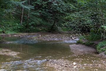Mountain stream in a gorge between trees in the Allgäu Eistobel