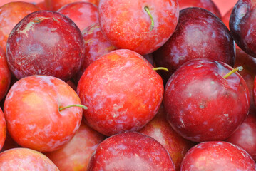 fresh red apples