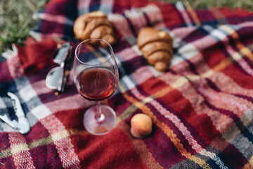 Picnic with different snacks on the green grass in the garden, wine and croissants, relax time