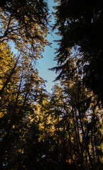 Bariloche en su máxima expresión