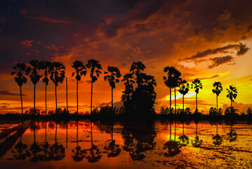 sunset over the river