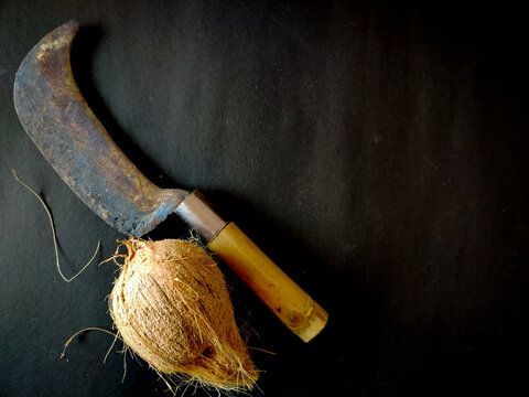 One unpeeled coconut and billhook isolated on black background.A billhook used to chop coconut. South indian method