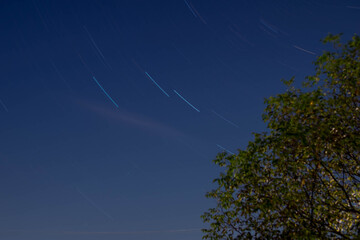 Beautiful starry night sky and meteor above the trees