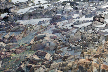 Fototapeta premium Rock with water near the ocean, abstract background.