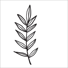 Black and white sketch plant line on white background. Vector illustration.