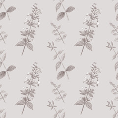 Monochrome light grey seamless pattern with hand-drawn garden balm. Modern floral ornament. Great for fabric, wallpapers and wrapping paper. 
