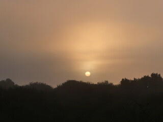 La lune visible dans le ciel matinal