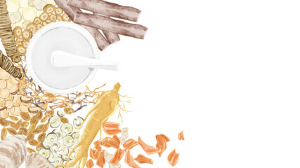 色々な種類の漢方生薬を並べたイラスト