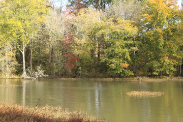 Fototapeta premium autumn landscape with trees and water