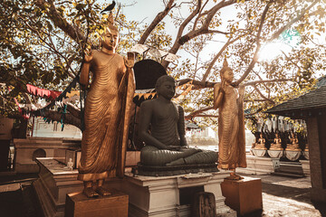 Posągi Buddy, w scenerii ogrodu, słoneczne popołudnie. © insomniafoto
