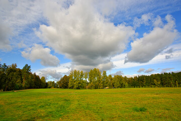 Beautiful autumn landscape. Yellow trees, blue sky.