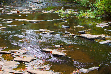 Water flowing in a creek in the woods