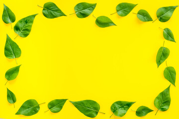 Frame of green leaves. Nature background layout. Top view