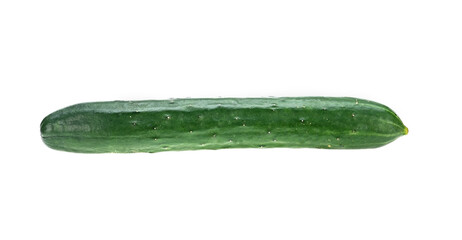 Fresh cucumber isolated on white background