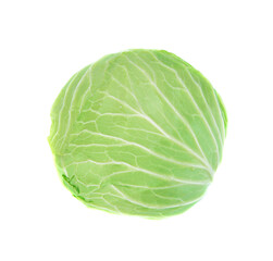 cabbage top view isolated on white background