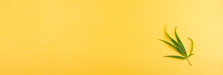 Fototapeta na wymiar Small green cannabis leaf lying on a yellow background. View from above. Photo banner. Place for your text.