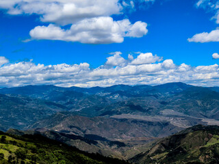 Fototapeta premium bosque seco tropical