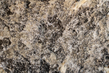 Stone wall with lichen and cobwebs.