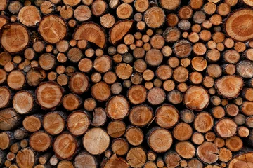 Möbelaufkleber Pile of chopped fire wood © angelo lano