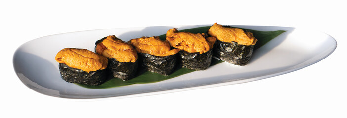 big five sea urchin sushi on a long white plate         