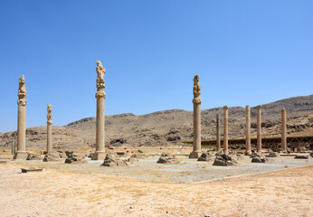 Columns of Apadana Hall in Persepolis. View from the south.