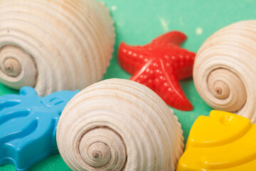 sea shells and beach toys