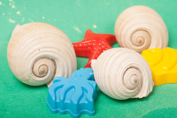 sea shells and beach toys