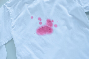 Obraz na płótnie Canvas dirty raspberry stain.top view