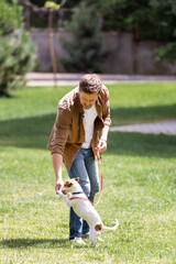 Selective focus of man playing with jack russell terrier on leash in park