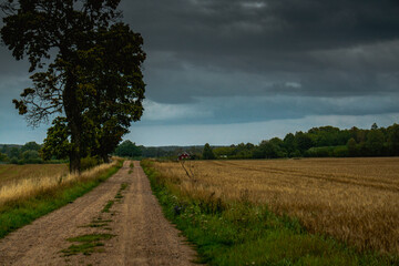 road in the field