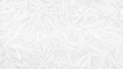 Chilli Background Fresh Organic White.