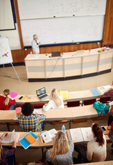 Students in amphitheater on lecture, top view