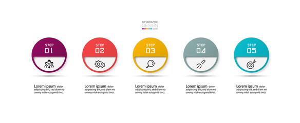 Five circle vector design can use for division of work duties of company and business.infographic design.