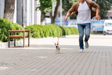Obraz premium partial view of man with jack russell terrier dog on leash running along urban walkway