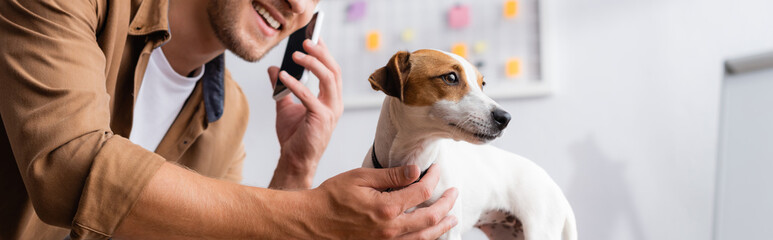 cropped view of businessman touching jack russell terrier dog while talking on mobile phone in...