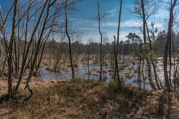 Obraz premium Venner Moor