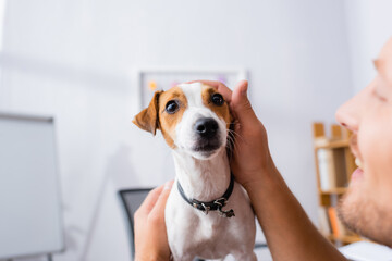 selective focus of businessman cuddling jack russell terrier dog in office