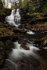 Obraz premium In the Glen Again