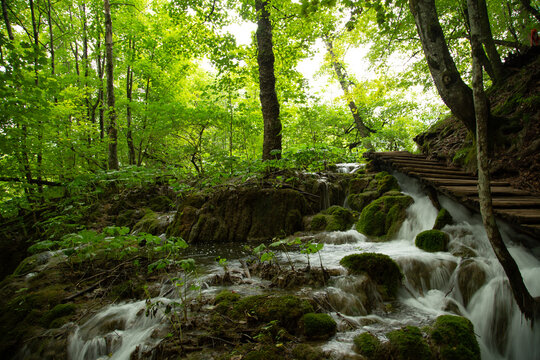 Pasarela sobre cataras en parque nacional
