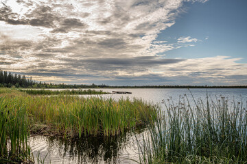 Remote Northern Lake