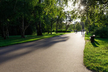 Wide paved road in the park, rest zone, trees, grass, sun. Soft focus.
