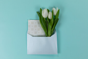 View of an envelope and sheet of paper with flowers in it on blue background